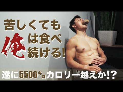 【バルクアップ4日目】日に日に増えていくカロリー！今日はしんどかった。