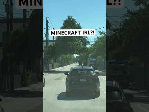 MINECRAFT IN REAL LIFE