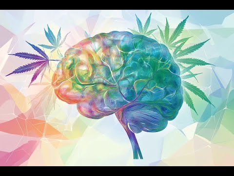 Cannabis, IQ, and Aging: Does Cannabis Protect Against Cognitive Decline?