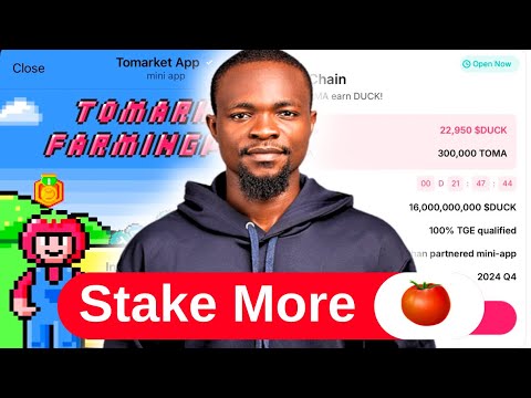 Tomarket Staking - Stake Allocation or NOT? (ANSWERED)