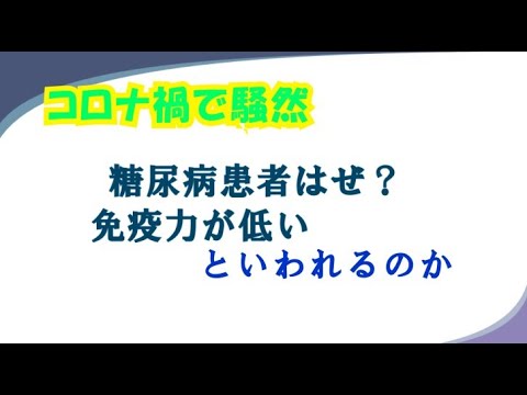 【糖の流れ～なぜ糖尿病は免疫が低くなるのか？】