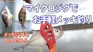 【メッキ釣り】お手軽かんたんマイクロジグでメッキ釣り