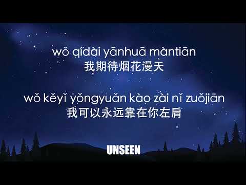 我期待的不是雪 - wo qi dai de bu shi xue - 张妙格 - Zhang Maio Ge | Lyrics - 歌词