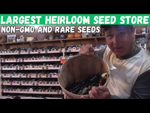 My Favorite Heirloom Seeds in Baker Creek's Massive Seed Store