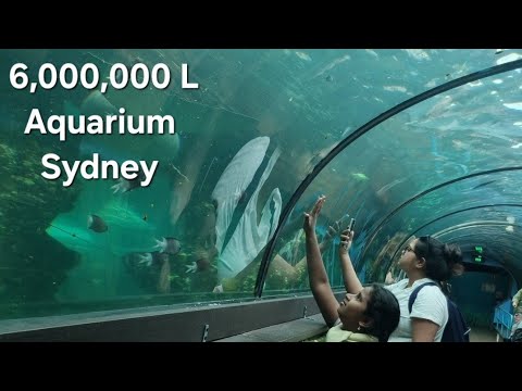 Sydney sea life Aquarium/Darling Harbour/Sea life of Australia/Sydney