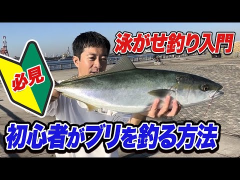 【泳がせ釣り入門】初心者でもブリやF5太刀魚が釣れる夢の釣法“エレベーター泳がせ釣り”を徹底解説