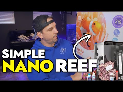 Setting Up A NEW Reef Tank With Hello Reef - Part 1