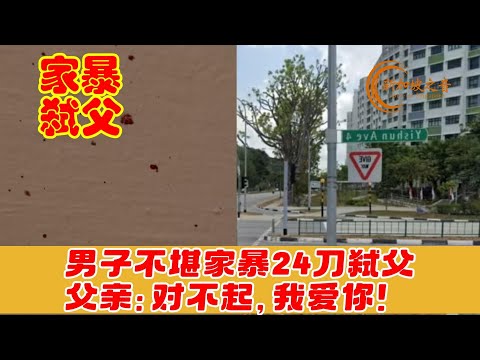 不堪父亲长期家暴，新加坡男子24刀弑父，父亲临终前对儿子忏悔：“对不起，我爱你” #弑父 #命案 #义顺 #Yishun #判监 #坐牢 #新加坡 #新加坡之音 #singapore #新加坡新闻 #