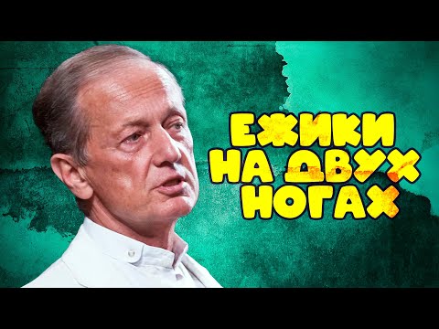 Михаил Задорнов - ЕЖИКИ НА ДВУХ НОГАХ |  Лучшее из юмористических концертов @BestPlayerMusic