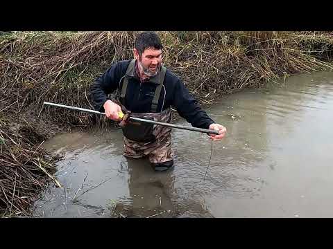 This Is The EASIEST Way To Set Beaver Traps  #howto #beaver