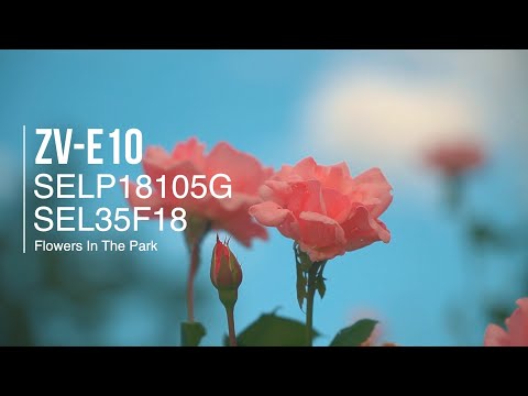 ZV-E10[SELP18105G & SEL35F18] -Flower in the Park-