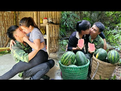 Harvesting watermelons to sell at the market, Taking care of the farm and being happy together