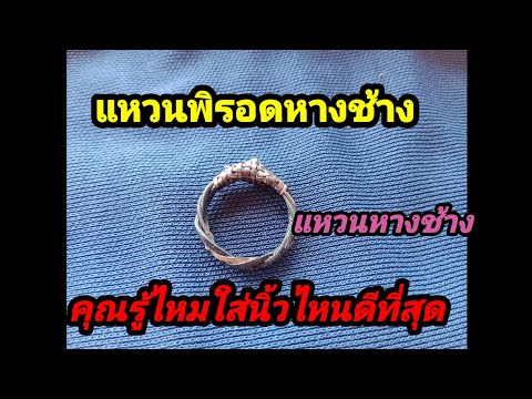 แหวนหางช้างใสนิ้วไหนดี EP92.