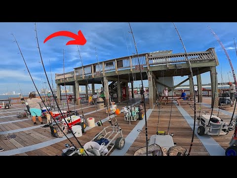 This is the *NEW* Alabama Gulf State Park PIER! [Fishing and Tour 2024]