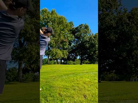 Over the Trees 🌴 #golf #goodgoodgolf