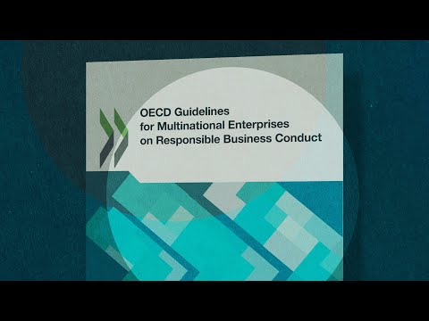 Updated OECD Guidelines Multinational Enterprises 2023