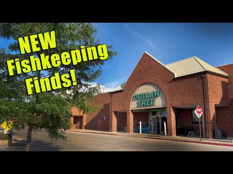 Dollar Tree 2024 New "Fishkeeping" Goodies ?!