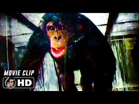 Opening Scene | 28 DAYS LATER (2002) Movie CLIP HD