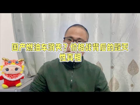 汽车行业打了3年价格战，没把合资车打死，国产燃油车却快消失了