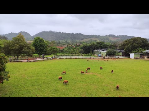 台東原生應用植物園