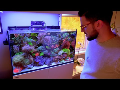 Tour of a PACKED Reef Tank Run by Konstantinos Michalopoulos in NORWAY