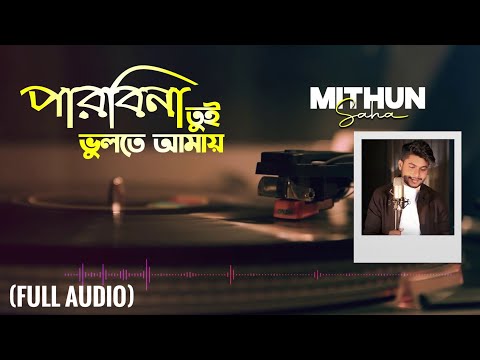 Parbi Na Tui Bhulte Amay | Full Audio | Mithun Saha