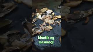 Muntikan na masunog ang Paksiw ko #shortvideo #paksitannews #cravingsatisfied #trending #youtuber