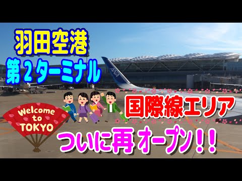 【妄想PV】ついに再オープン!! 羽田空港第2ターミナル国際線エリア