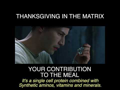 Thanksgiving in The Matrix