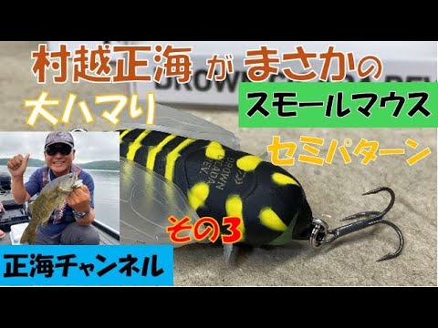 スモールマウスバス　セミルアー一択勝負の結果は