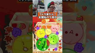 ブドウきたら！？未開拓の5週目　#ゲーム実況 #スイカゲーム