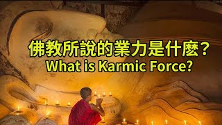 佛教所說的業力是什麽？What is Karmic Force?