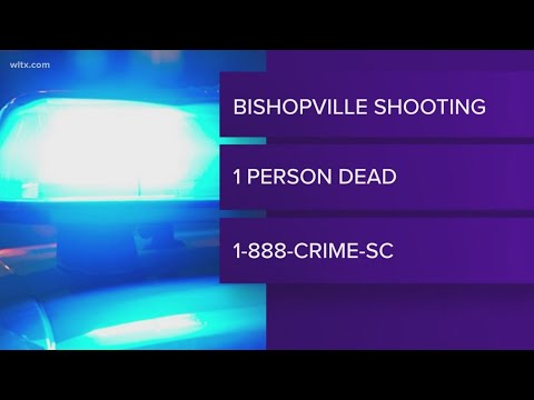 Drive-by shooting leaves one dead in Lee County