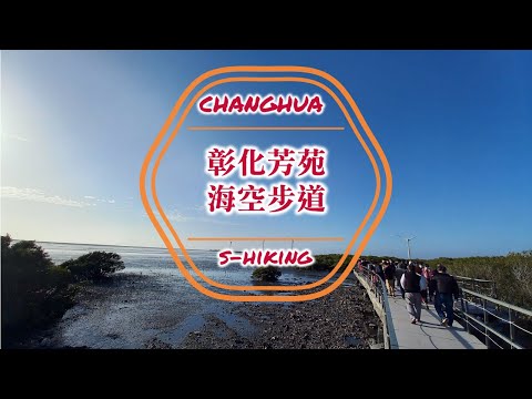 S步道｜彰化｜芳苑海空步道｜豐富生態紅樹林濕地｜芳苑鄉