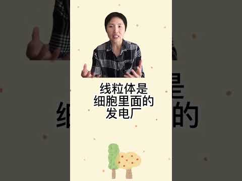 真正肥胖的原因【衝擊】不是糖