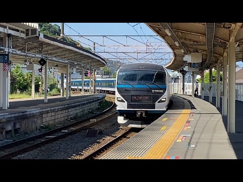 E257系NA-11編成 特急踊り子15号 伊豆急下田行き 入線シーン@伊東