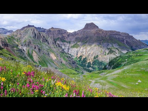 Governor Basin - THE MOST BEAUTIFUL Wildflower Hike/4-Wheel Drive in Colorado