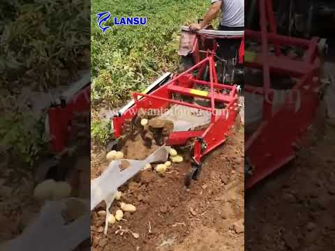 Potato Harvester