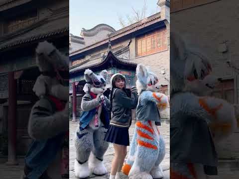 #OREZ Let's do the #dadadachallenge with @梓樱酱那个字念zi and Lightmjay  #dance #dadada #fursuitcommunity