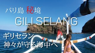 【バリ島ダイビング】バリ島で一番美しい海中’’ 秘境ギリセラン’’でスキンダイビング