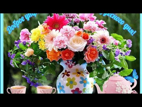 Доброе утро☀️☀️☀️удачного дня🌹🌹🌹