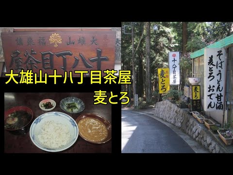 これが名物！大雄山十八丁目茶屋の麦とろ定食を実食してみた