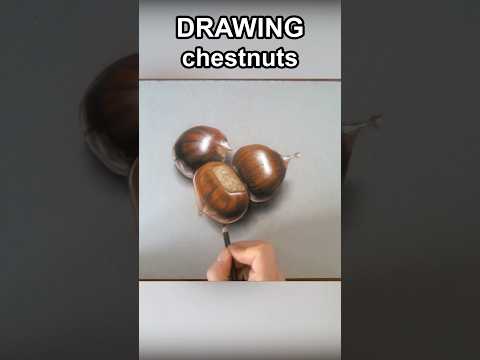 Chestnuts realistic drawing #art