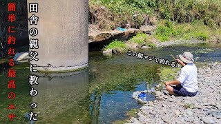 エサ代０円。これが田舎の親父に教わった簡単に釣れる夏におすすめの釣り方です。