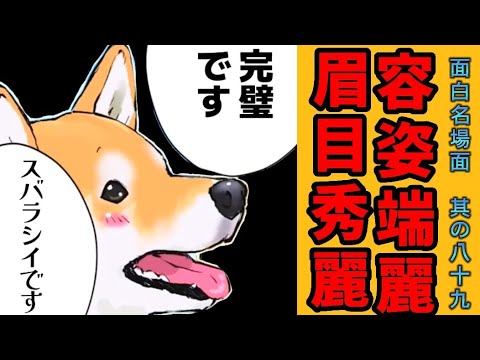 【世界の終わりに柴犬と】切り抜き編集 # 89《褒め殺し。》  #世界の終わりに柴犬と  #アニメ #柴犬