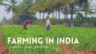 Farming in India | Planting and Harvesting | Agricultural Activities India