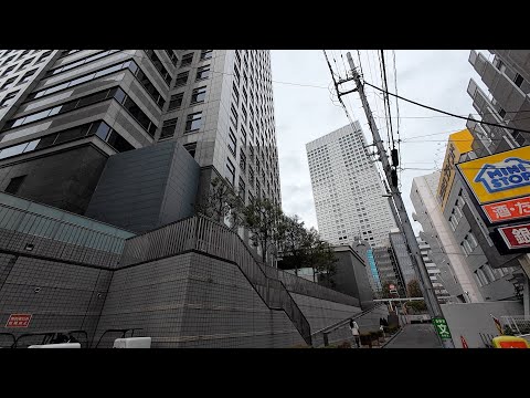 【東京編】南新宿駅から始まる散歩：４K  Japan Minami-Shinjuku