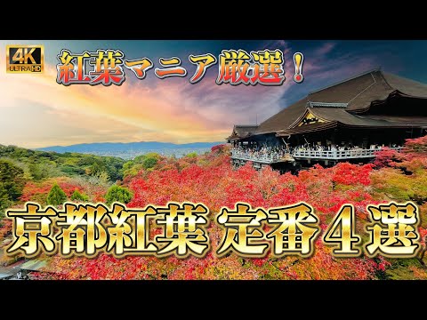 【絶対に外せない！】京都の紅葉　定番人気名所　4選