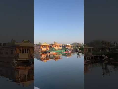 #Dal lake #srinagar #kashmirdiaries #kashmir