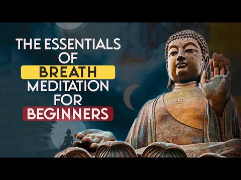 Buddha's Way: The Essentials of Breath Meditation for Beginners